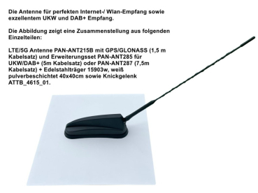 PAN-ANT285